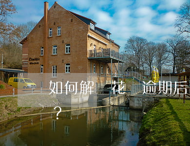 如何解決花唄逾期后出行受限問題？
